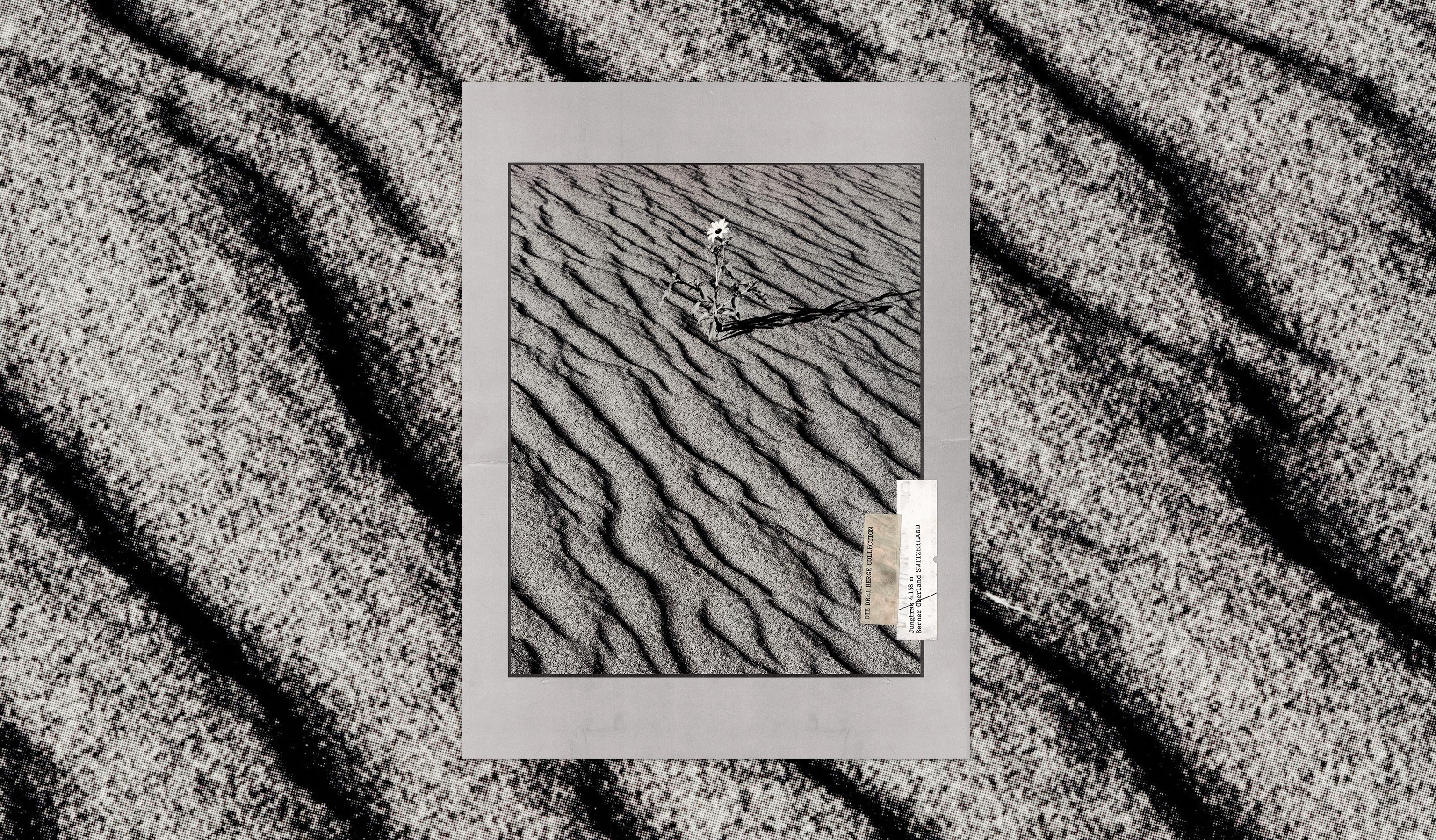 Antoine Laurent Studio - Graphiste, Directeur Artistique, Identité Visuelle, Illustration, Typographie, Design Imprimé & Digital, UX/UI, Packaging, Animation, 3D | Graphic Design, Art Direction, Visual Identity, Illustration, Typography, Print & Digital Design, UX/UI, Packaging, Animation, 3D.