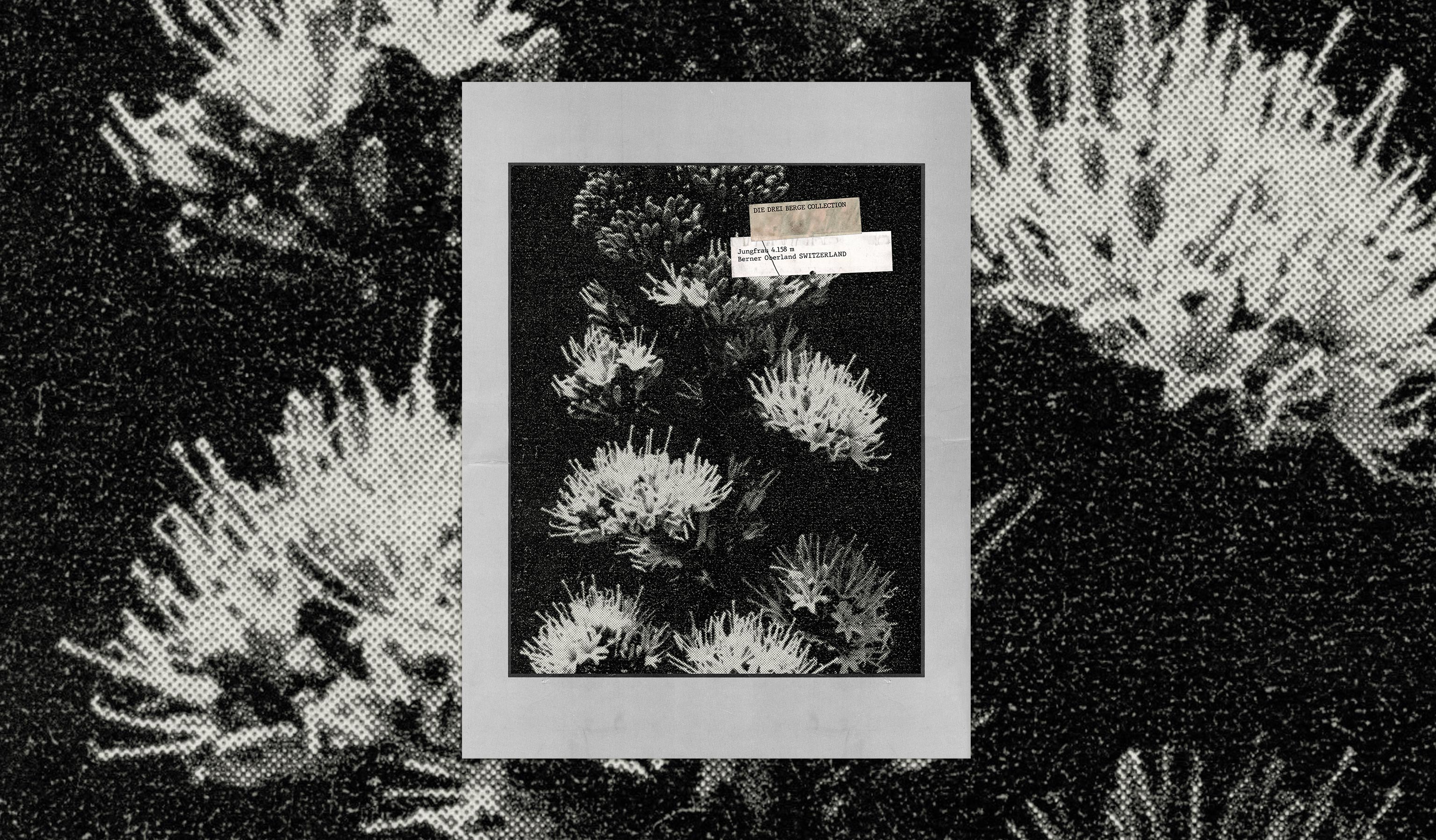 Antoine Laurent Studio - Graphiste, Directeur Artistique, Identité Visuelle, Illustration, Typographie, Design Imprimé & Digital, UX/UI, Packaging, Animation, 3D | Graphic Design, Art Direction, Visual Identity, Illustration, Typography, Print & Digital Design, UX/UI, Packaging, Animation, 3D.